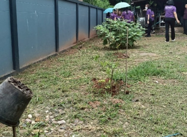 กิจกรรมจิตอาสาบำเพ็ญสาธารณประโยชน์และบำเพ็ญสาธารณกุศลเฉลิมพระเกียรติสมเด็จพระนางเจ้าฯ พระบรมราชินี เนื่องในโอกาสวันเฉลิมพระชนมพรรษา 3 มิถุนายน 2568 ... พารามิเตอร์รูปภาพ 57